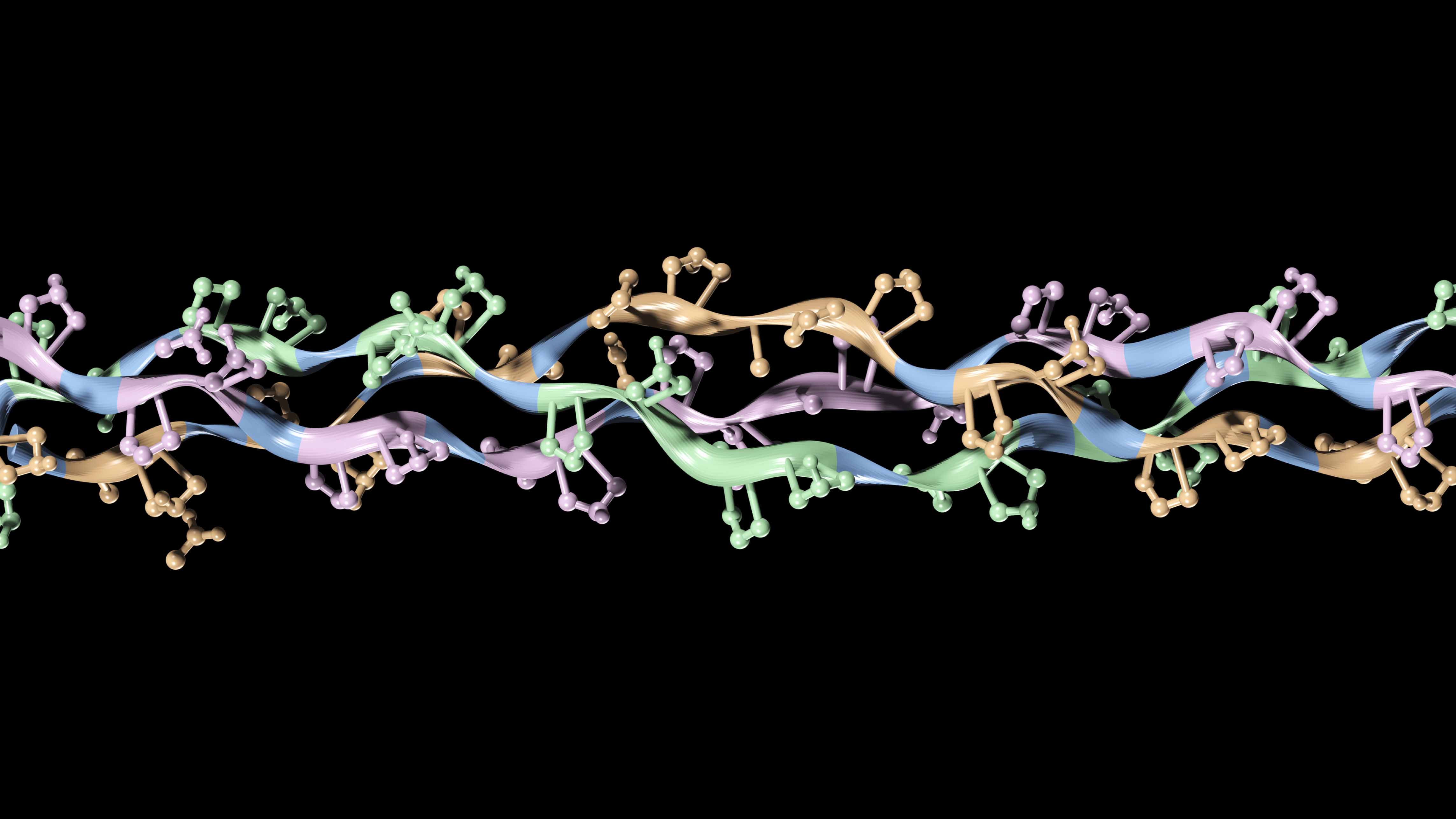 illustration of three alpha chains of collagen