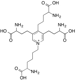 molecular structure of desmosine