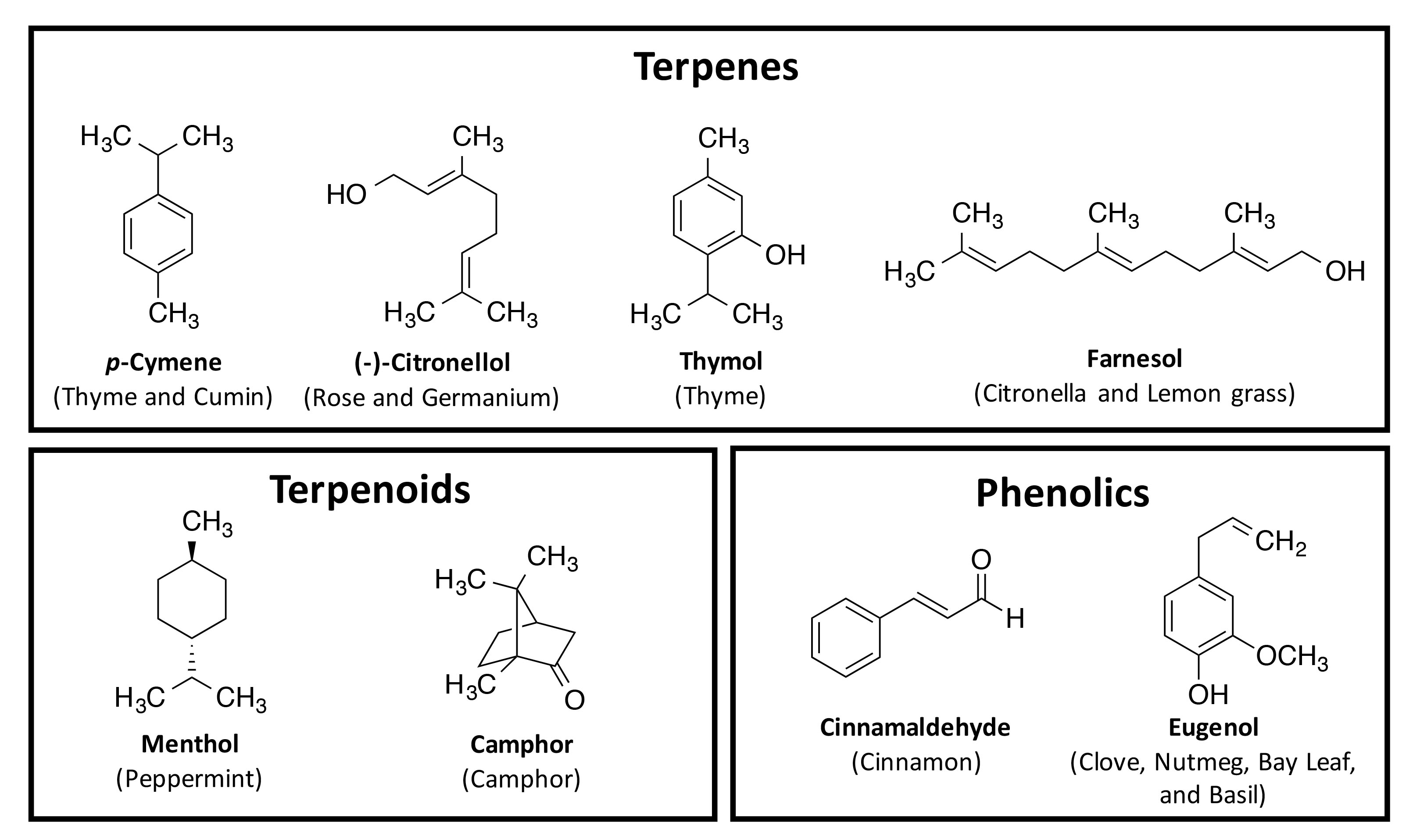 molecular structures of selected essential oils