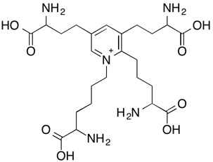 molecular structure of isodesmosine