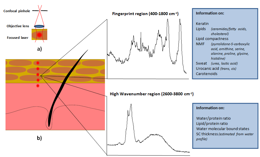 illustration of Raman spectroscopy