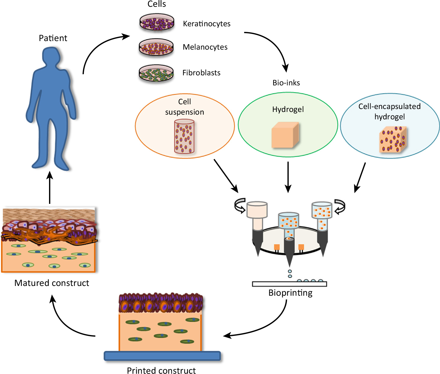 illustration of three dimensional bioprinting of skin