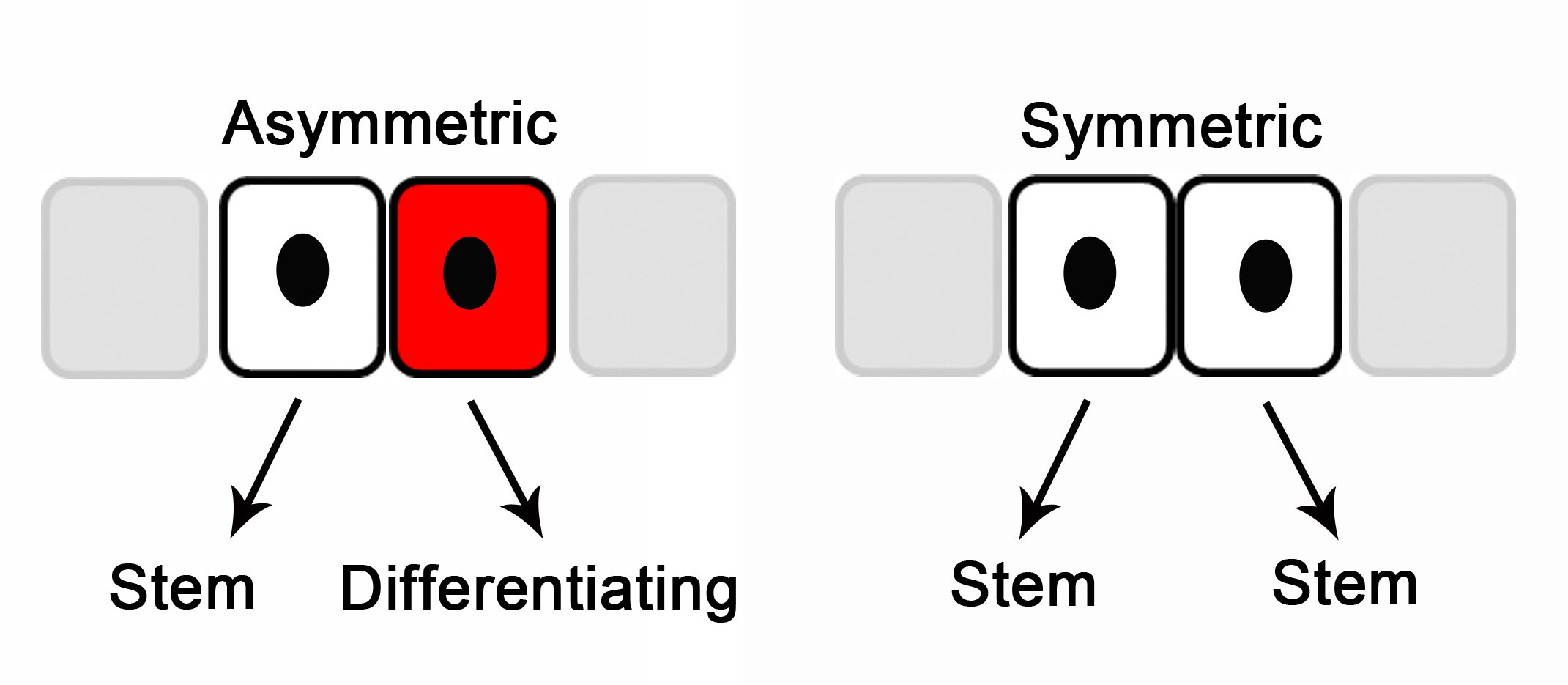 Figure 1 illustration