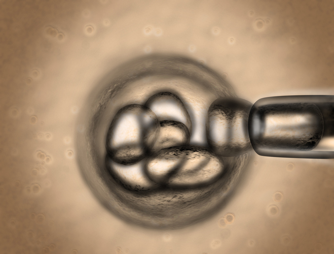 illustration of stem cell research