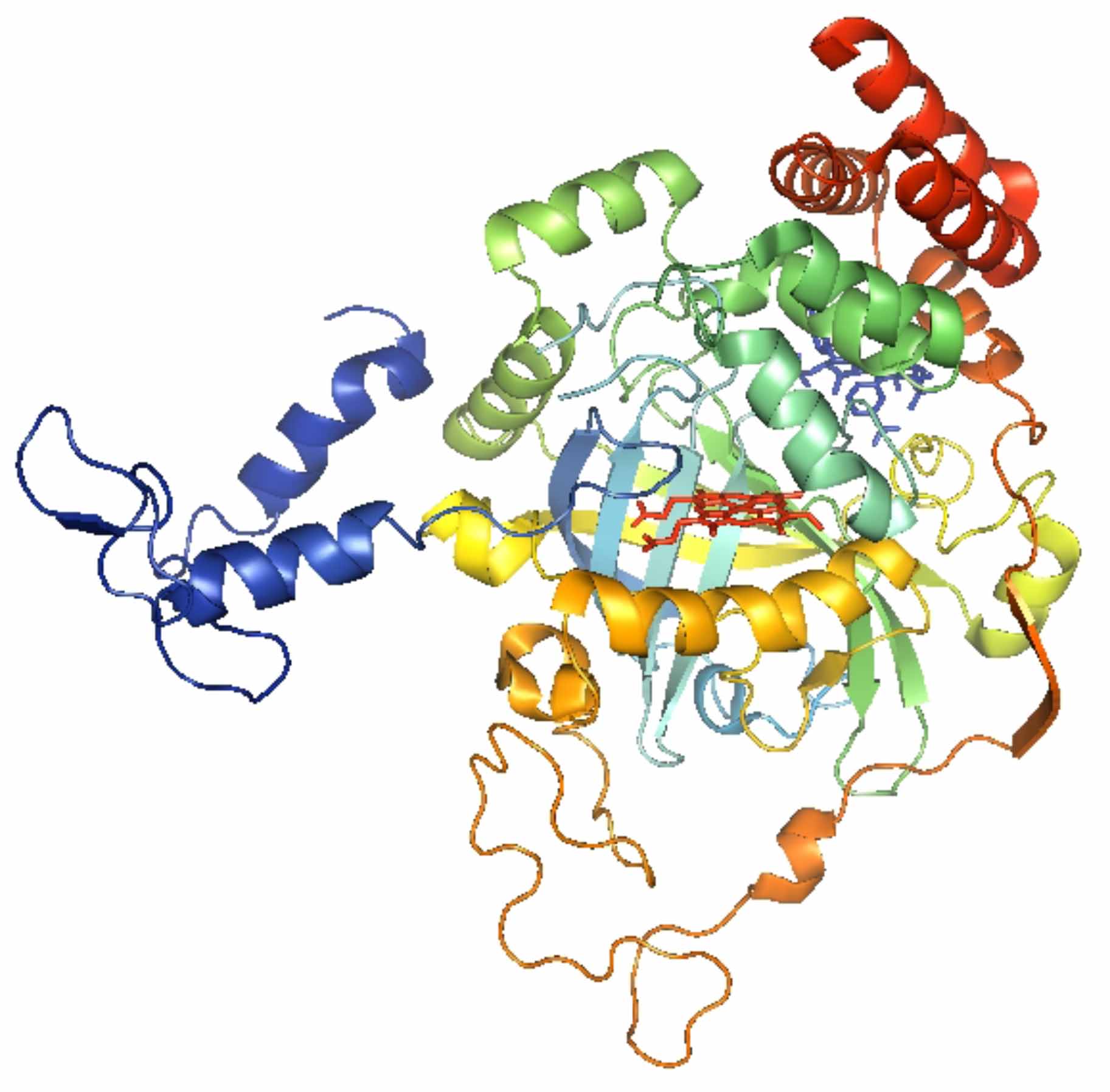 three dimensional structure of a protein
